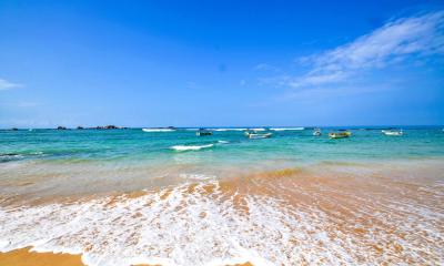 Wrecks, Whales and Reefs